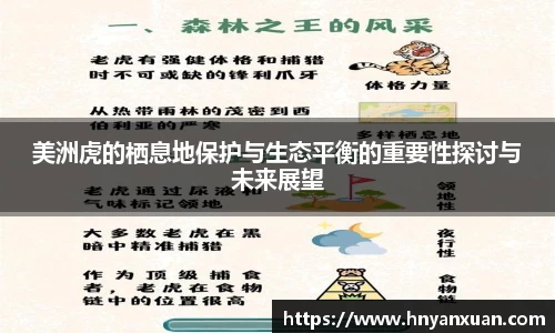 jjb竞技宝官方网站